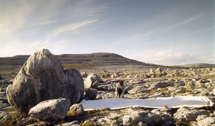 Erratics outlining shadow line of boulders in the Burren Photo Veronica Nicholson 1996