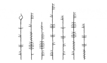 Ogham message small wide 940 390 90 s c1