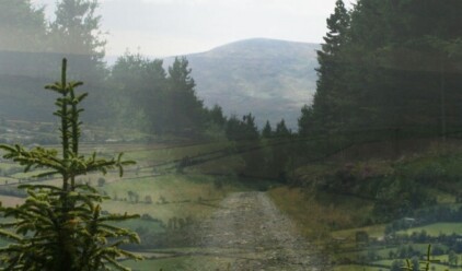 Panchaea In Search of an Equal Utopia and a Willing Suspension of Disbelief