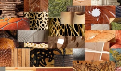 Improvisations on the Theme of an Irish Wall - Curated by Terry Martin and Commissioned by Carlow Arts Festival