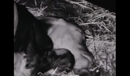 Holly marie parnell hole in the stone Untitled 1 1 1